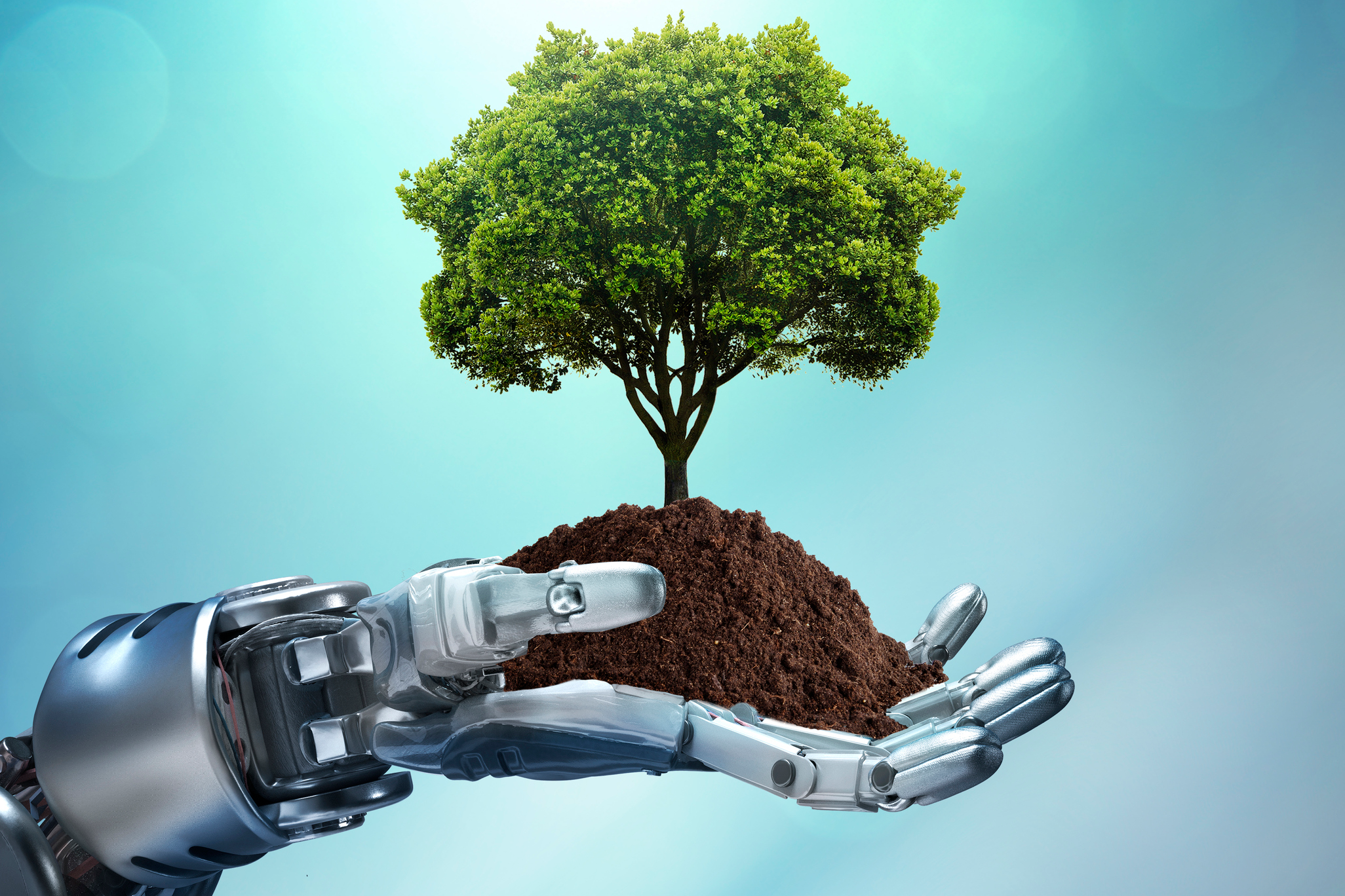 Technology: Advancements and Environmental Impacts